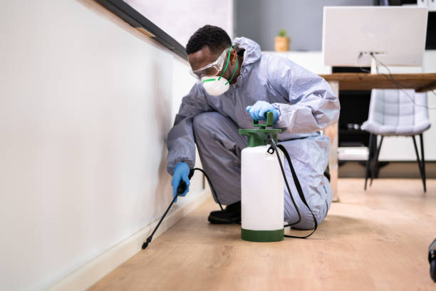 Reliable Coplay, PA Pest Control Solutions